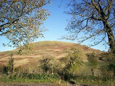 Rowan Cottage-80119 Catcleugh Esterno foto